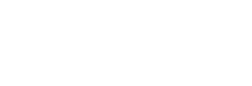 GoMacro